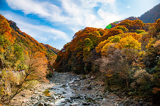 四川巴中光雾山