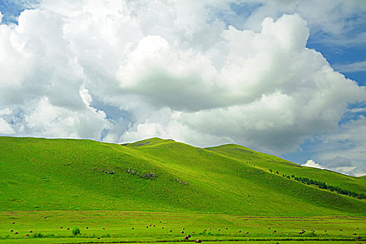 内蒙古草原风光山坡和云涌