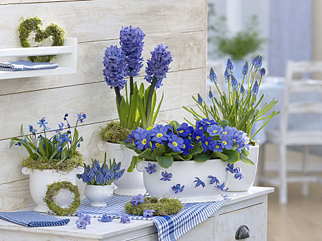 蓝花,白色,锅