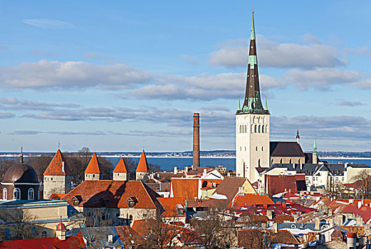 城市,全景,老,塔林,爱沙尼亚,房子,红色,屋顶,教堂大街