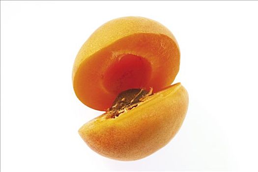 杏,樱桃属,平分