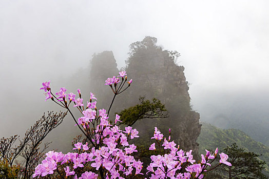 广西金秀圣堂山南山丹霞险峰雾海景观