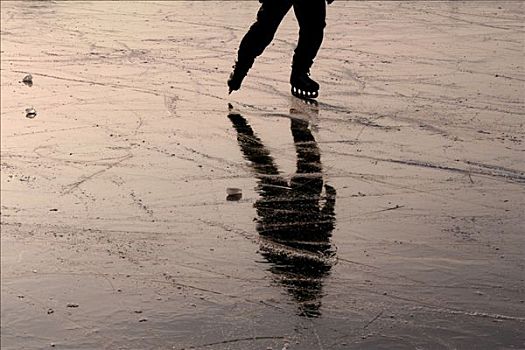 滑冰,冰球鞋,反射,冰冻,表面,哈弗尔河,河,波茨坦,德国,欧洲