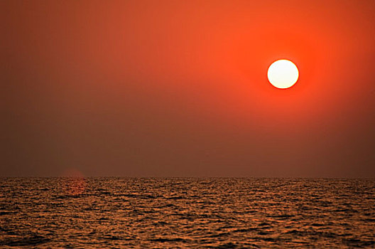 全景,海洋,日落,果阿,印度
