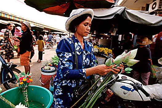 柬埔寨,金边,女人,花