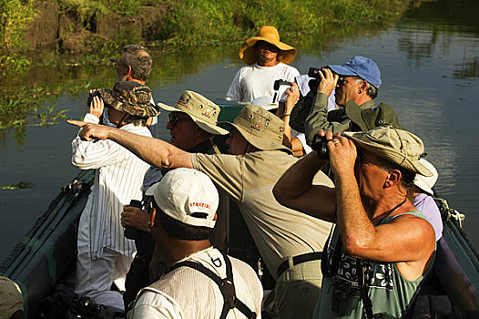 秘鲁,亚马逊盆地,河,小,支流,游客,观鸟