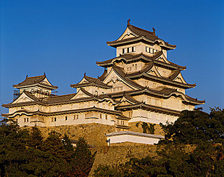 白鹭,城堡,姬路城堡,17世纪,姬路,兵库,日本