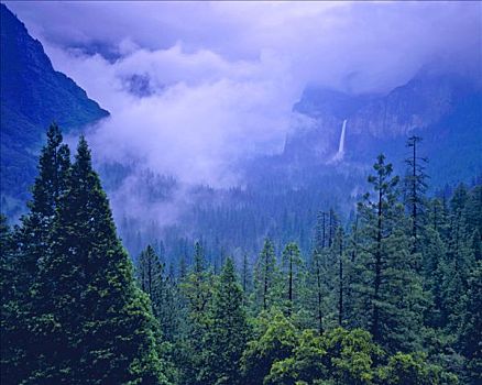 春天,风暴,优胜美地山谷,上方,布里尔维尔瀑布,优胜美地国家公园,加利福尼亚