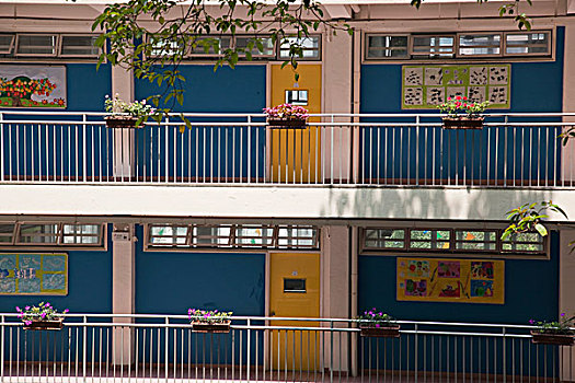 小学,桥,街道,中心,香港