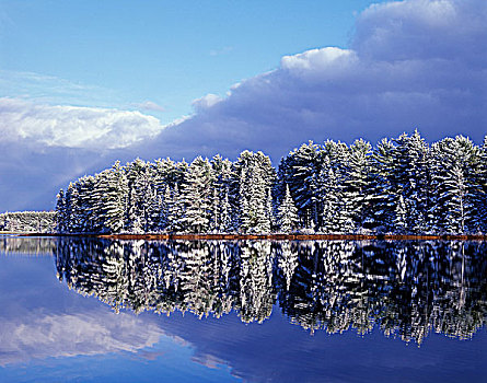 反射,湖,阿尔冈金省立公园,安大略省,加拿大