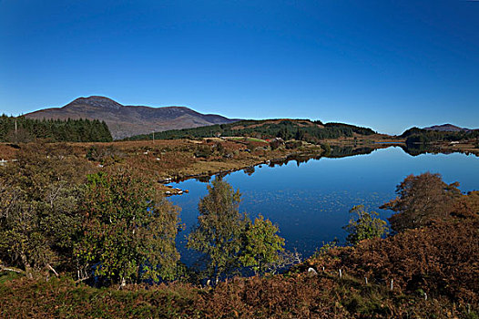 湖,基拉尼国家公园,凯瑞郡,爱尔兰