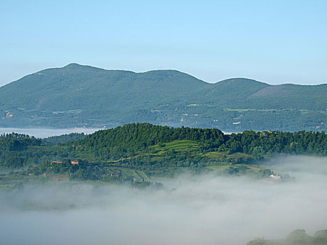 风景,雾状,早晨,托斯卡纳