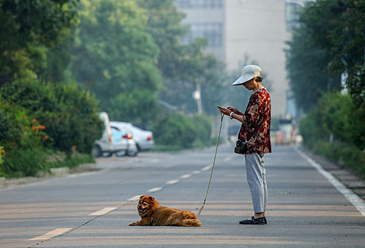 狗,猫,动物,宠物,室外,散养,放风,溜达,觅食,遛狗