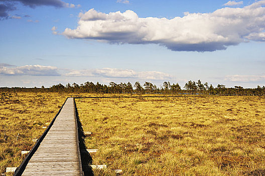 木板路,国家公园,瑞典