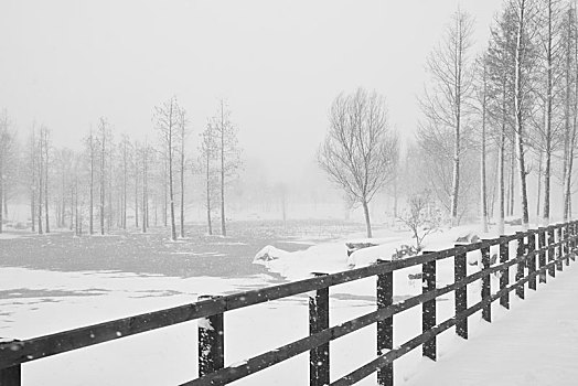 雪景