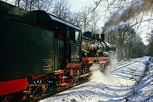 蒸汽,旅游,火车,树林,靠近,沃尔斯坦,北莱茵威斯特伐利亚,德国,欧洲