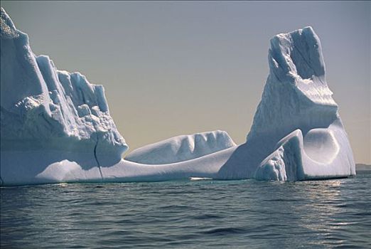 冰山,拉布拉多海,夏季,拉布拉多犬,纽芬兰,加拿大