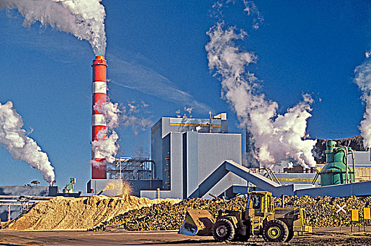 纸浆厂,桑德贝,安大略省,加拿大