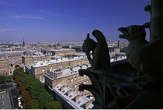 俯视,城市,圣母大教堂,巴黎,法国