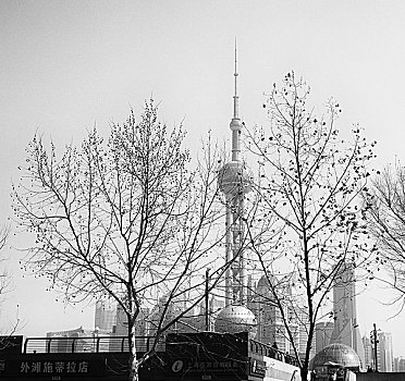 黑白上海
