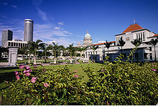 国会,新加坡