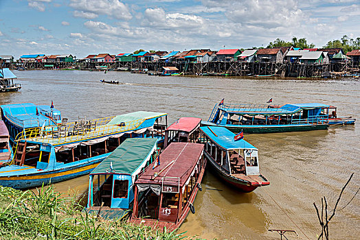 船,树液,湖,收获,柬埔寨
