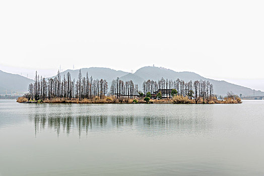 杭州湘湖自然风光,秋天