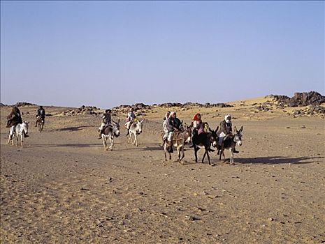 孩子,乘,学校,驴,边缘,北方,利比亚沙漠,西北地区,苏丹