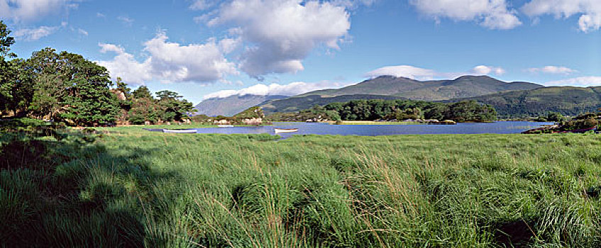 湖,基拉尼国家公园,凯瑞郡,爱尔兰