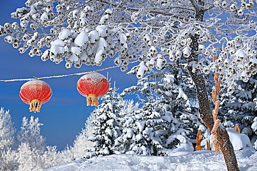 吉林省仙峰国家森林公园里的红灯笼