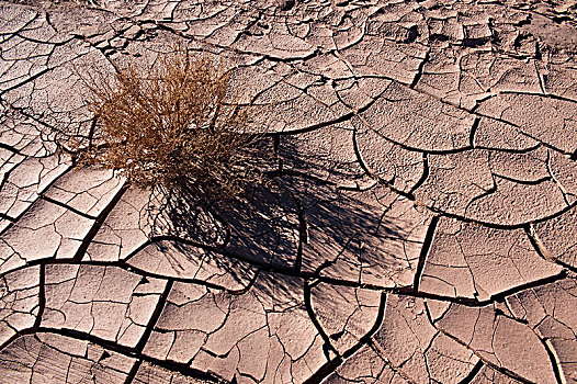 干燥,缝隙,泥,山谷,月亮,盐湖,阿塔卡马沙漠,智利