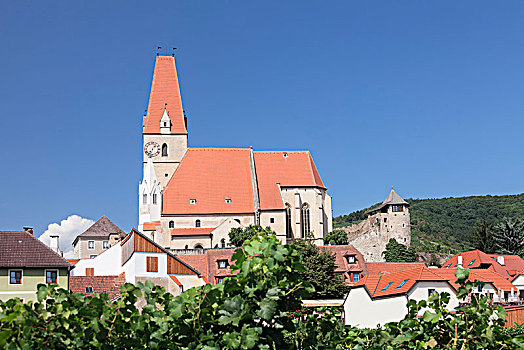 教区教堂,毛里求斯,多瑙河,瓦绍,下奥地利州,奥地利