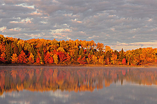 秋天,反射,湖,黎明,安大略省,加拿大