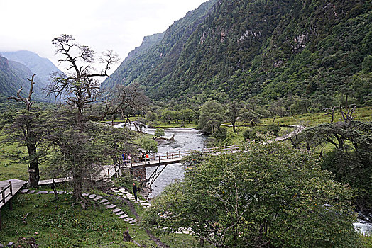 四川阿坝州四姑娘山