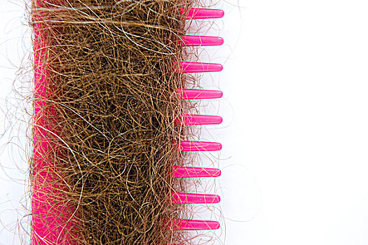 毛发,粉色,梳子