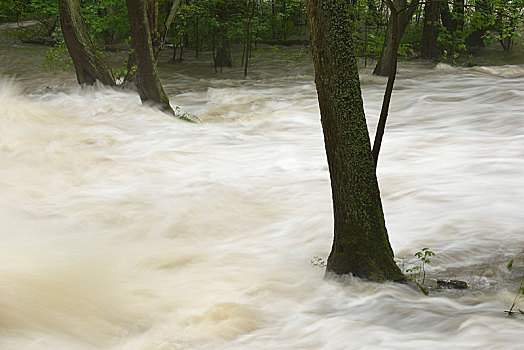 瀑布,河,洪水,奔流,阿莱克西斯巴特,萨克森安哈尔特,德国,欧洲