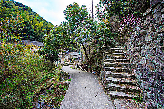 鄞州,塘溪镇,黄泥岭古道,山路,山林