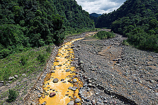 脏,河,哥斯达黎加,中美洲