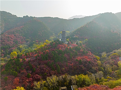 航拍济南红叶谷景区