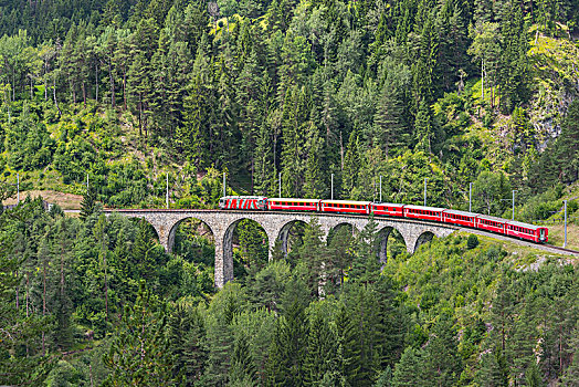 铁路,高架桥,靠近,区域,瑞士