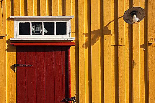 木质,黄色,房子,红色,门