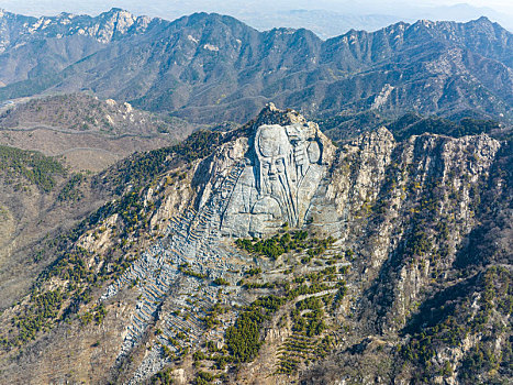 山东蒙山寿星