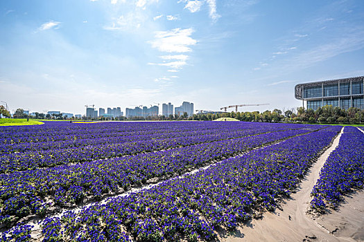 花田基地