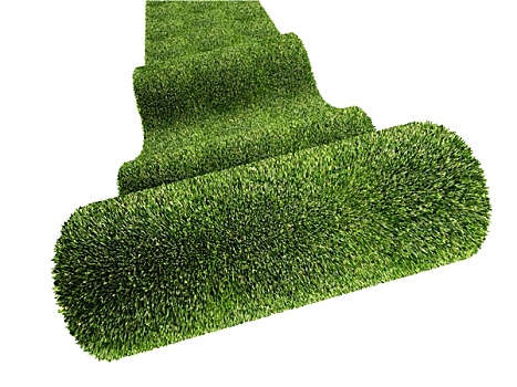 绿色,地毯