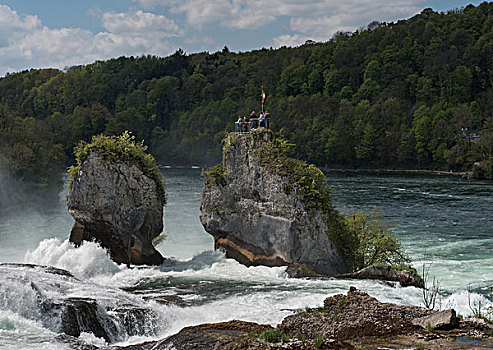 岩石上,莱茵瀑布,靠近,沙夫豪森,瑞士,欧洲