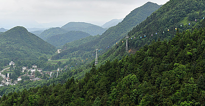 贵州凤冈,茶海经济,助力乡村振兴