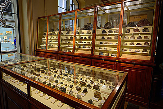 多样,矿物质,玻璃,柜子,自然历史博物馆,柏林,德国,欧洲