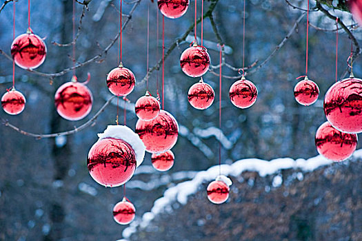 红色,圣诞节,彩球,树,萨尔茨堡,奥地利