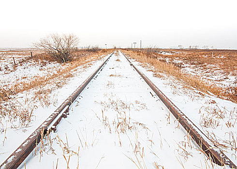 风景,雪,铁轨