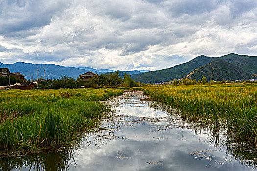 丽江泸沽湖草海